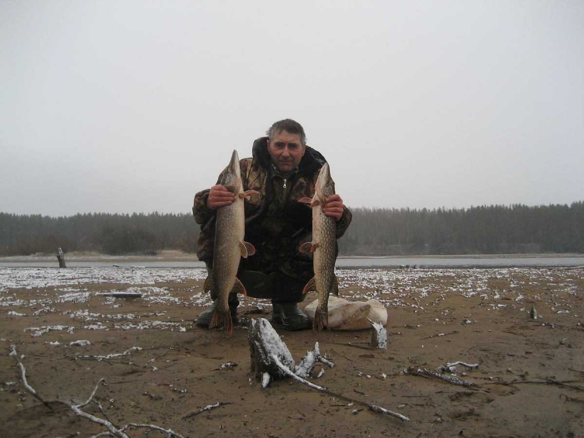 23‐25 ноября.