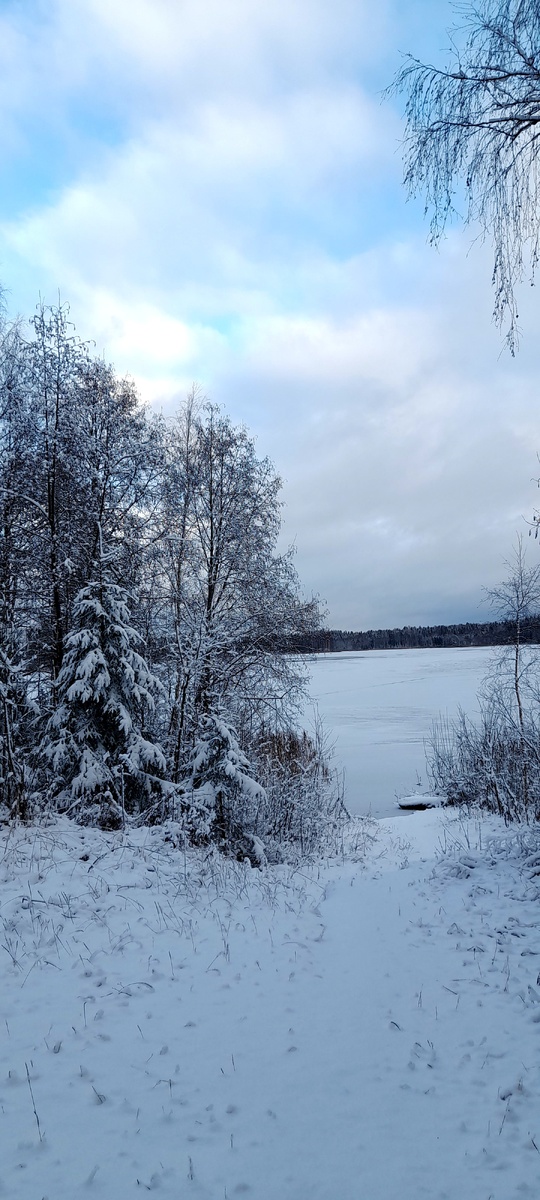 Уехали с утра на озеро... Погулять среди заснеженных сосен пока зиму не отменили) Это у нас уже третья зима. И вот - очередная репетиция...