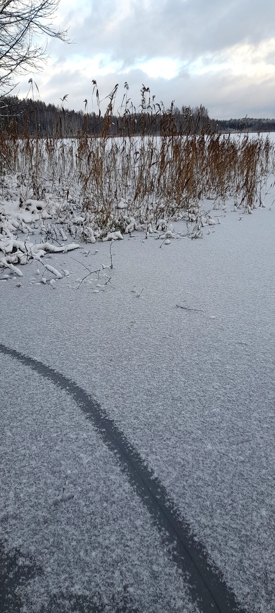 Лёд на озере ещё тонок... Дай, Бог, на Никольские морозы настоящий лёд установится. Поедем окуней таскать!)