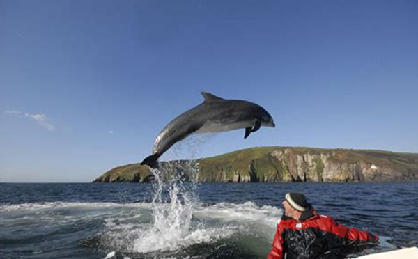 Кто то еще прыгает выше, чем я?