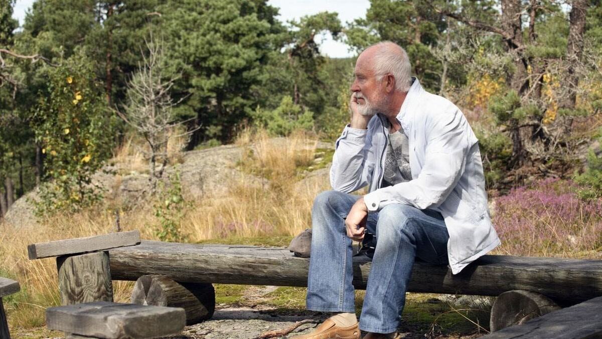 Яндекс-картинки