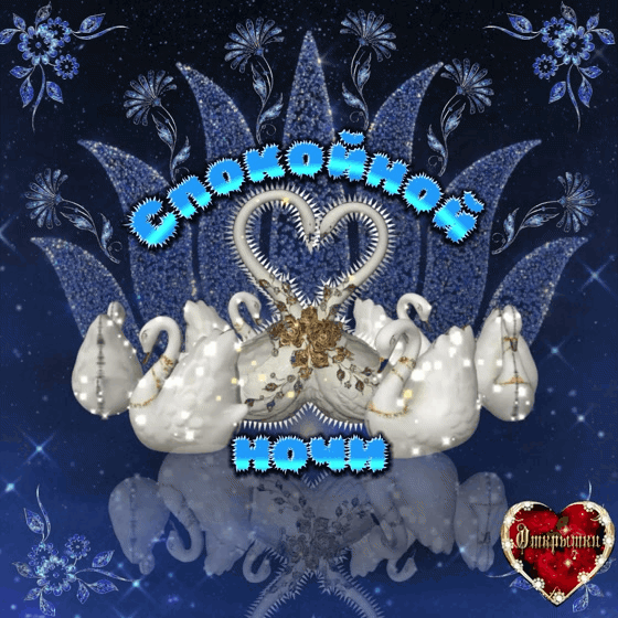 🌙 Сказочной ночи! Не забудьте загадать свои желания звездам, ведь ночь – время исполнения мечтаний. Погружайтесь в мир фантазий и невероятных приключений! ✨