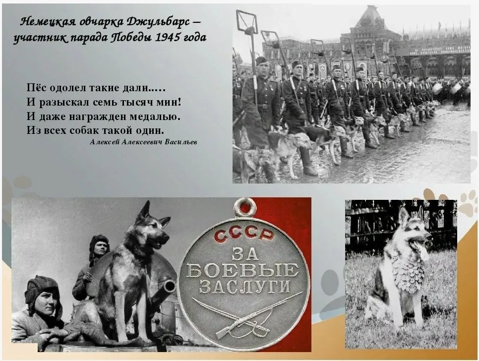 Картинка взята из свободного доступа.