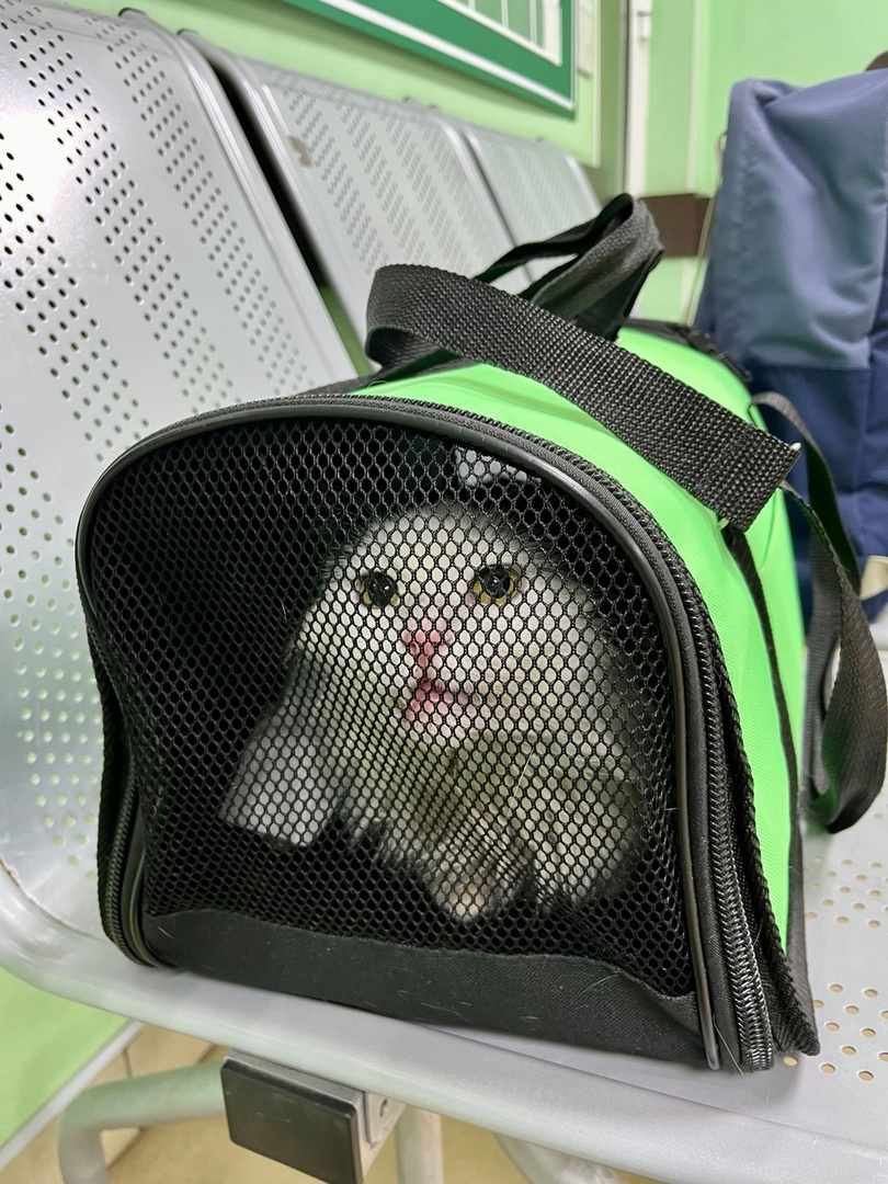 Лиза после приёма, ждём такси. Листайте галерею, пожалуйста. 