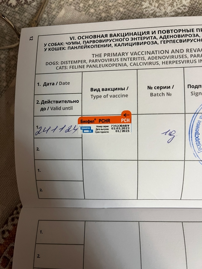 Ура, Лиза привитая теперь.