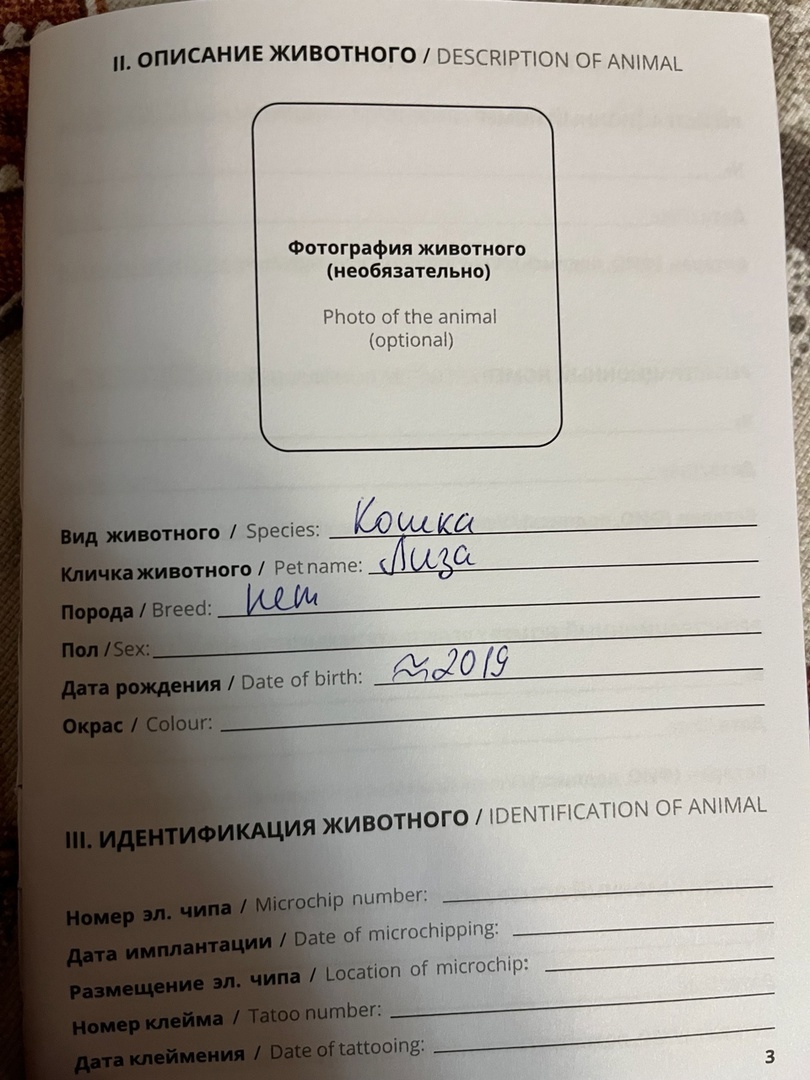 Паспррт Лизы. Она родилась примерно пять лет назад.