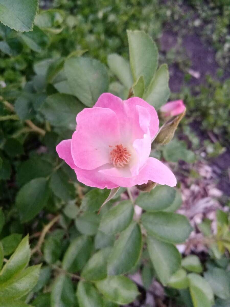 фото Наталии