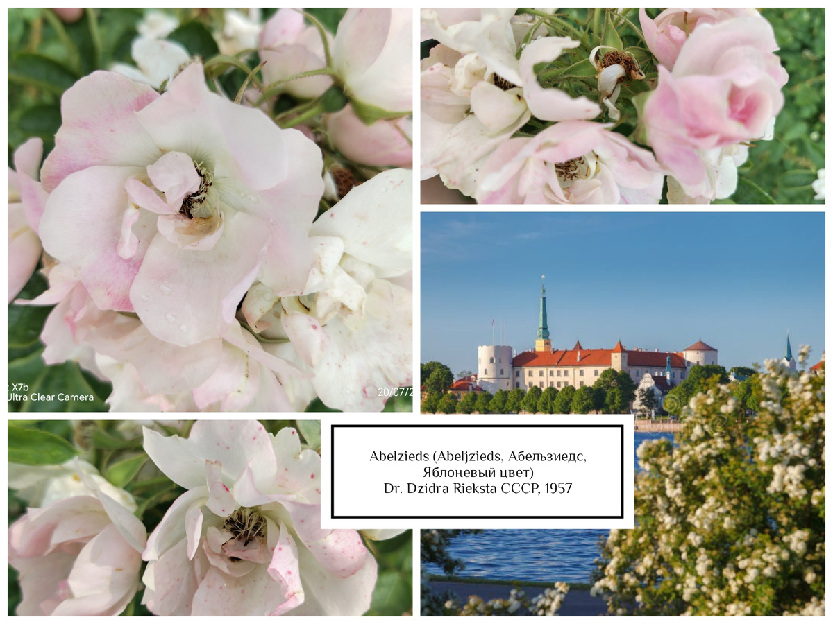 фотоколлаж Наталии