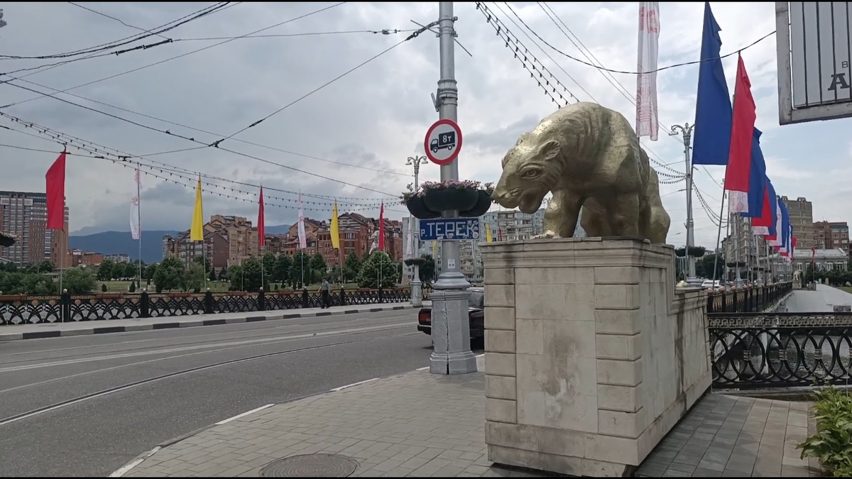 Барс у Чугунного моста через реку Терек