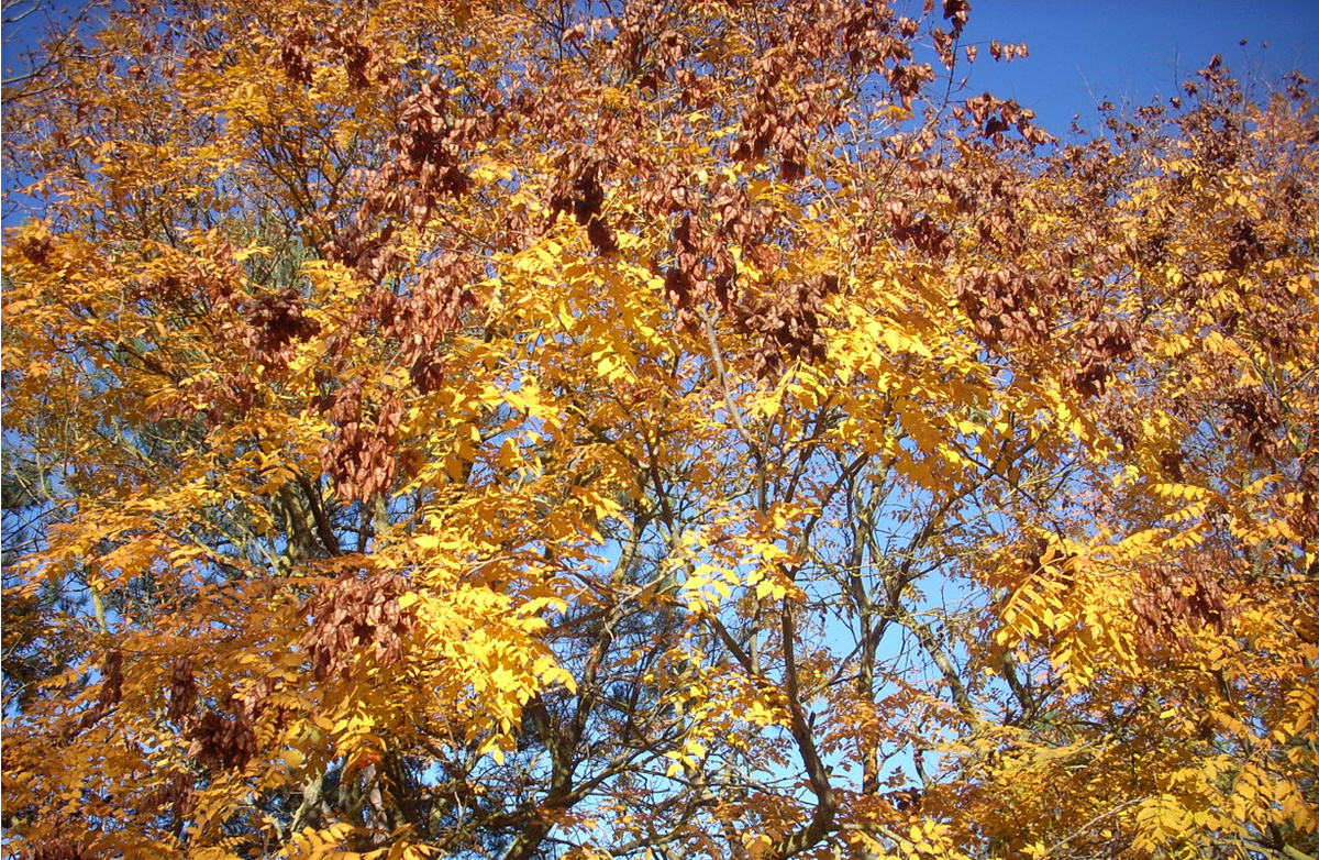 Все фото, кроме этого, из интернета 