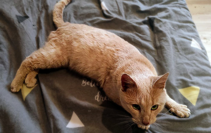 Вы же меня не прогоните? Там холодно и страшно