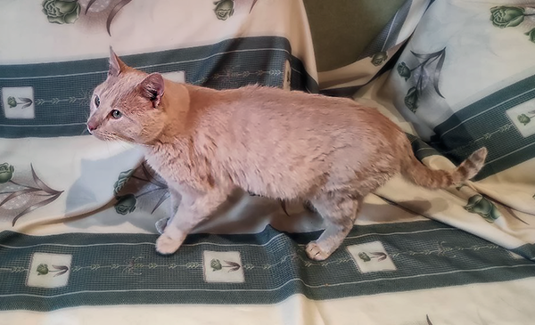 Я хотя бы немного погреюсь, можно?