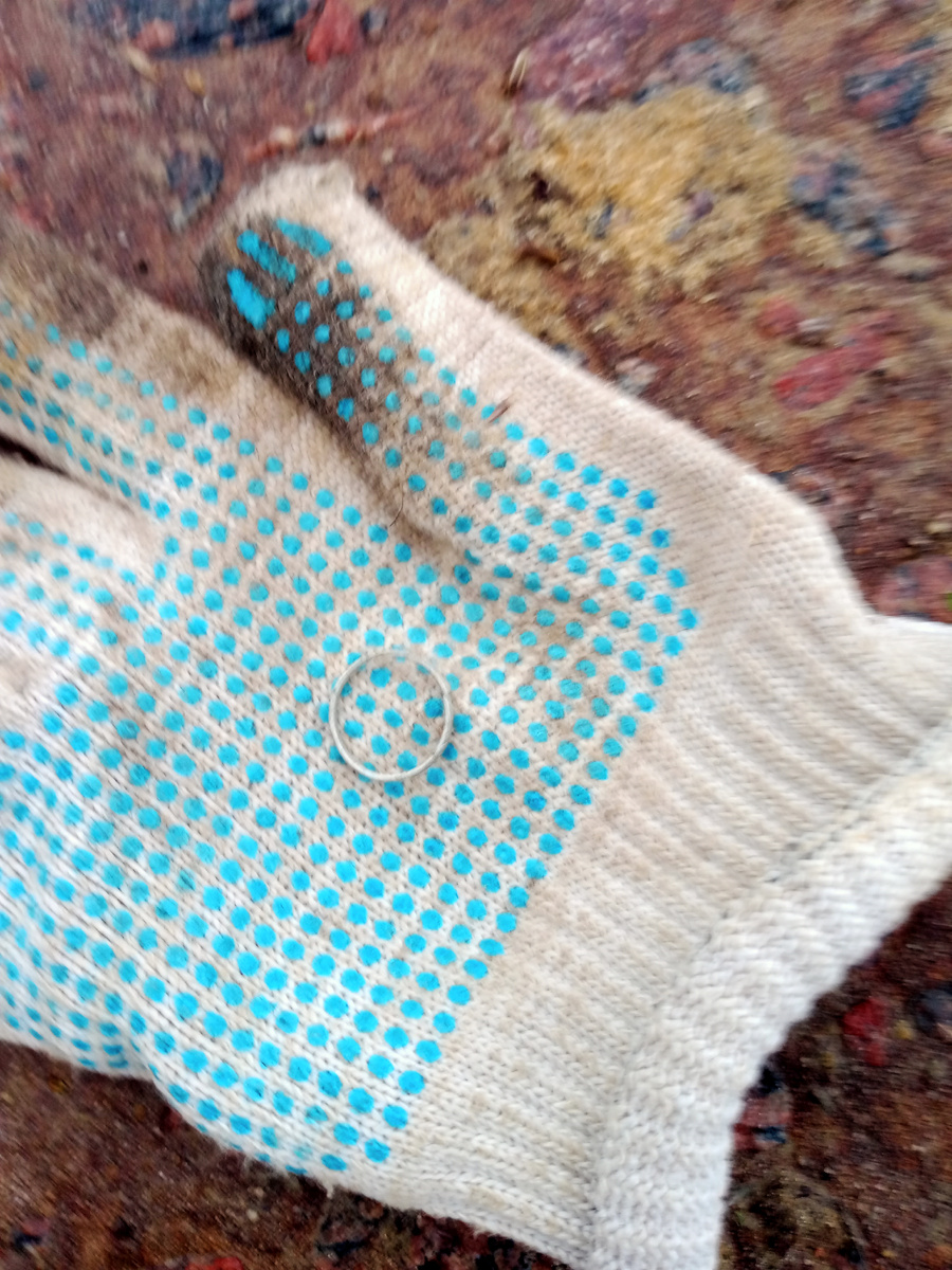 Кольцо PUL1, предположительно серебряное.