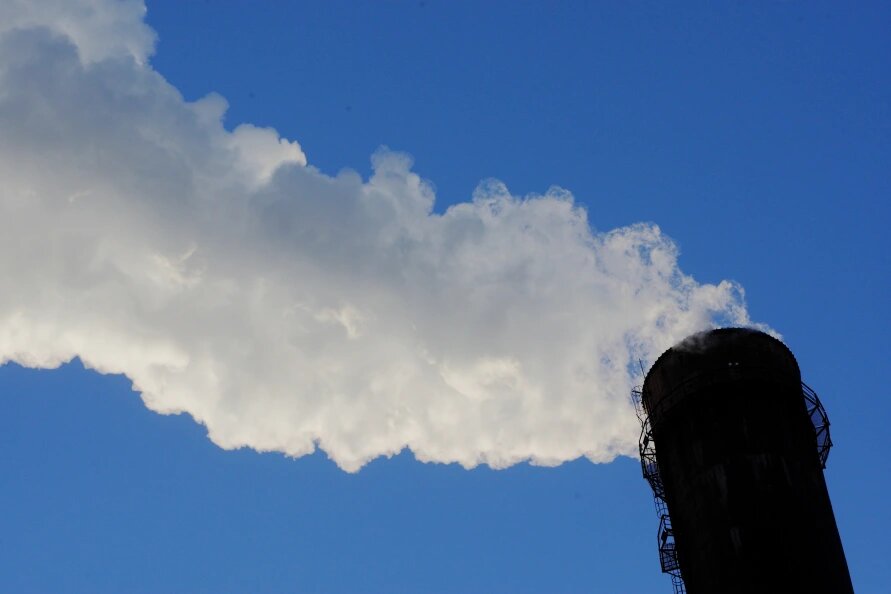    Замир Усманов/Global Look Press