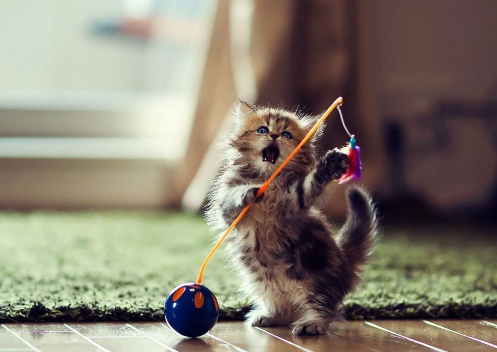 Источник: Яндекс Картинки