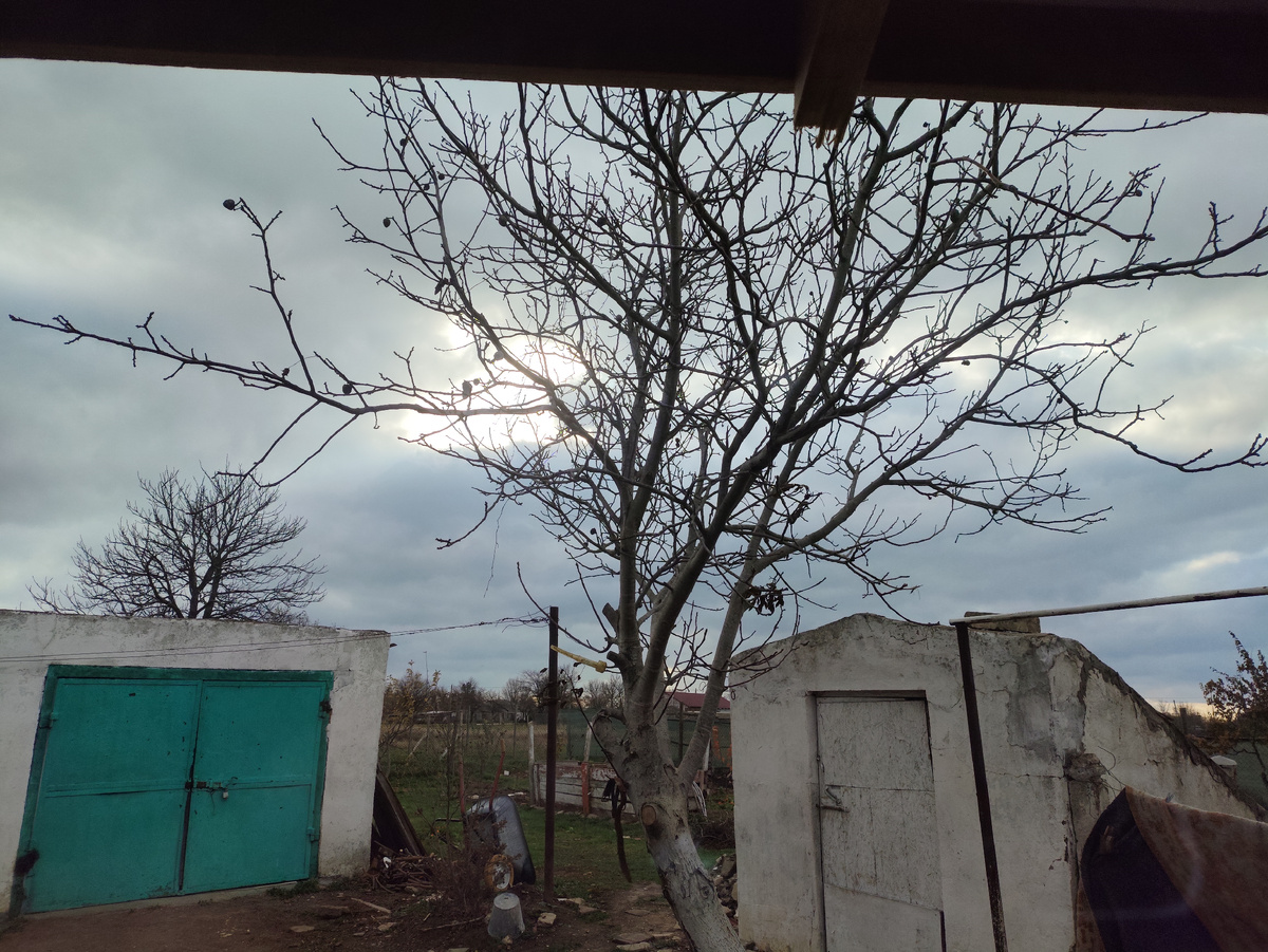 Через дверь снимала. Не хочется выходить...