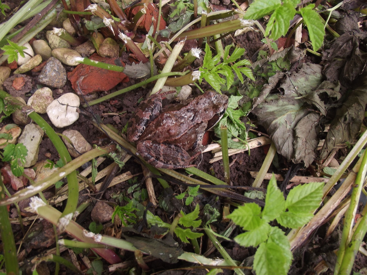 27 августа 2024