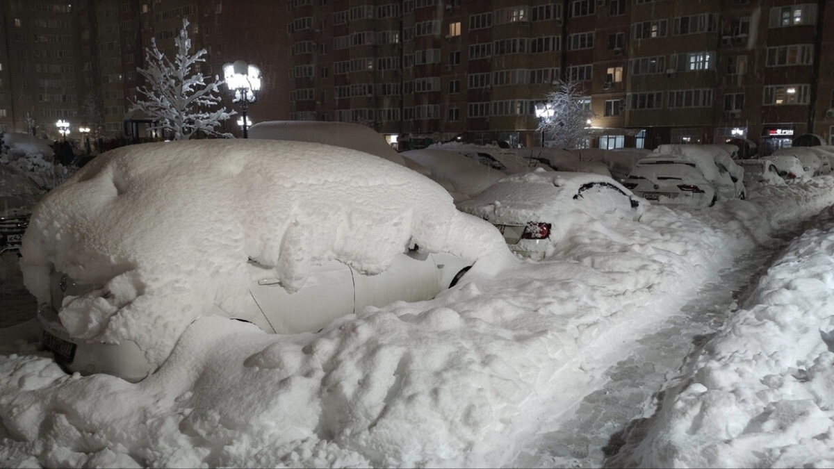 2022 год г. Краснодар.