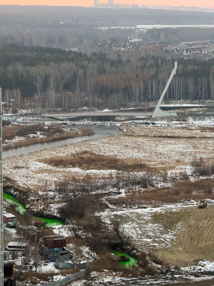 Вот такая зеленая река появилась на Университетской набережной.