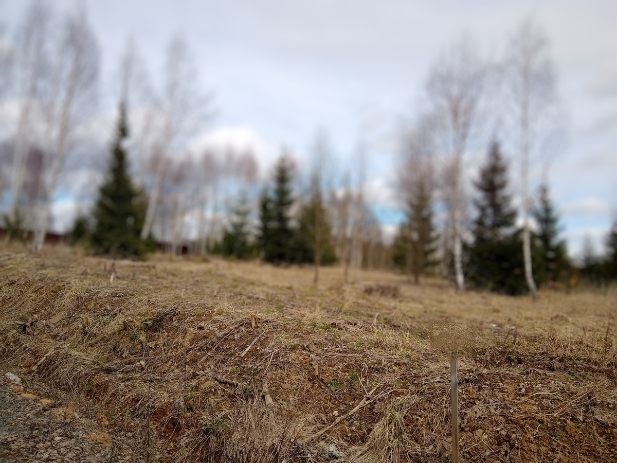 Вообще ничего не было. Фото из архива авторов 