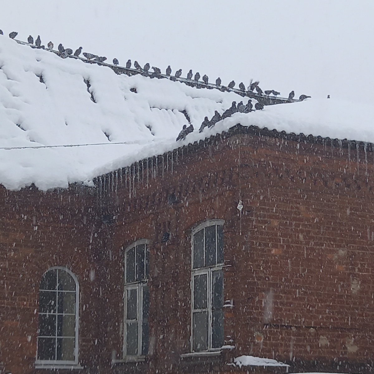 Фото автора канала