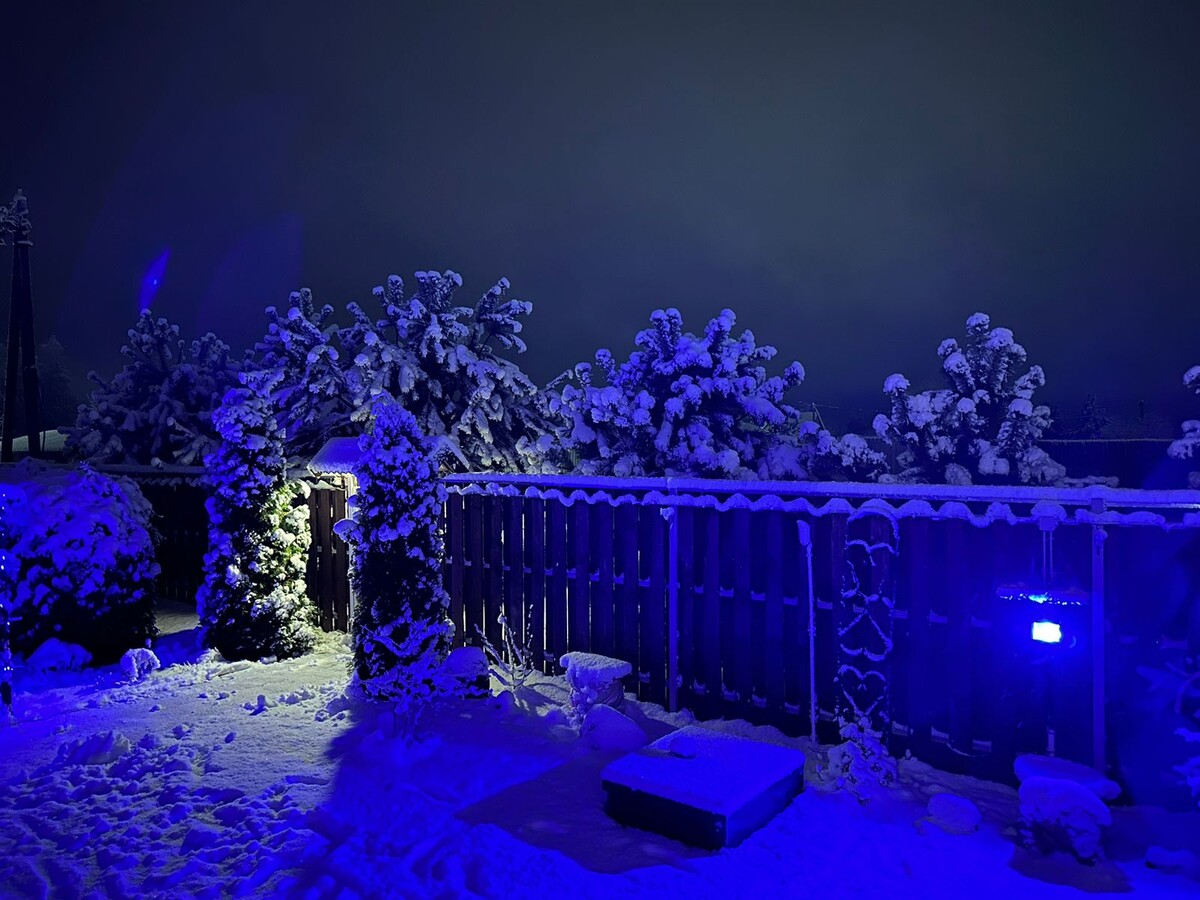 Калитка, забор, туи, сосны, и даже септик выглядят сказочно