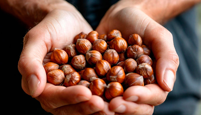 Подходящий день, чтобы кормить мужа орехами — не зевайте. Фото: shedevrum.ai