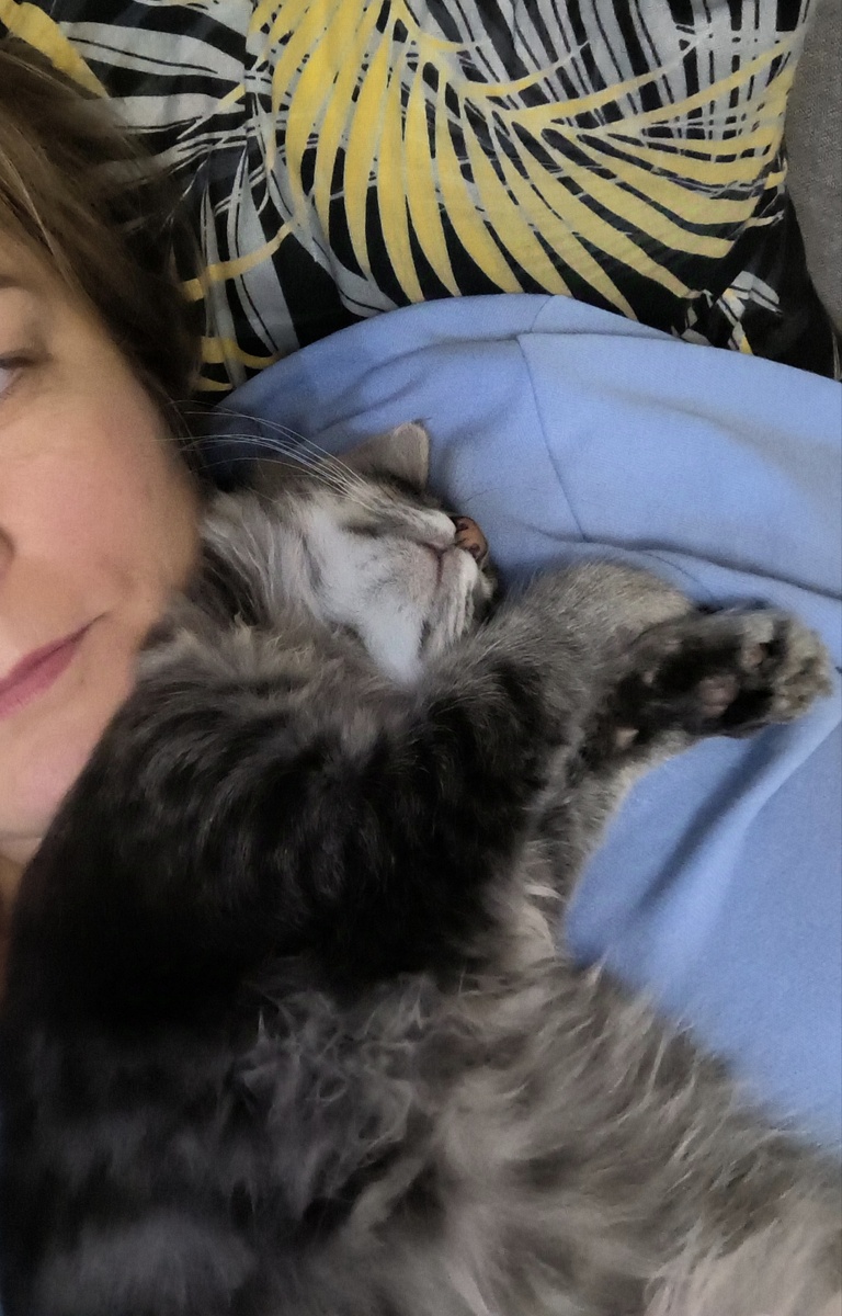 Всё фотографии в статье авторские. 