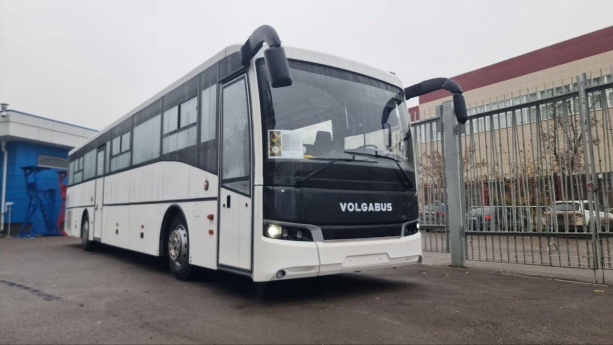 Фото: Автобусы и вообще  📷
