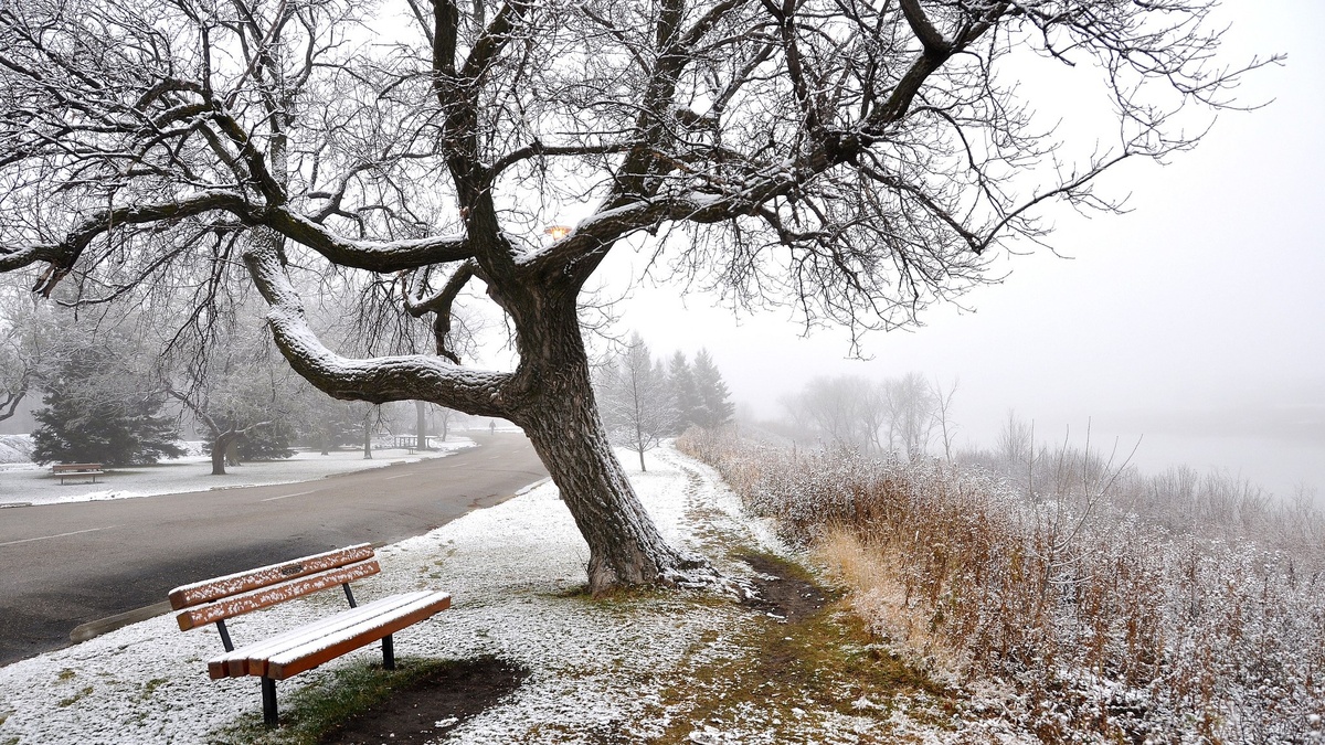 Картинка из сети интернет, спасибо автору.