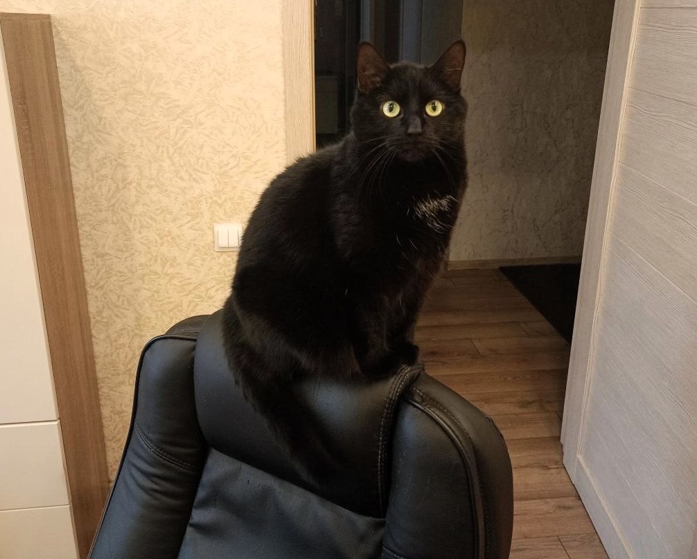 Мэвис сегодня исполнилось 6 лет