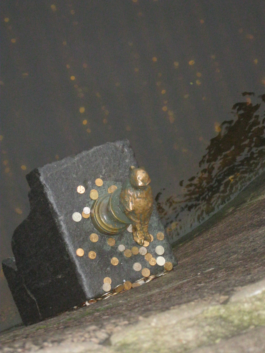 Одна из монеток - моя! Фото из личного архива автора