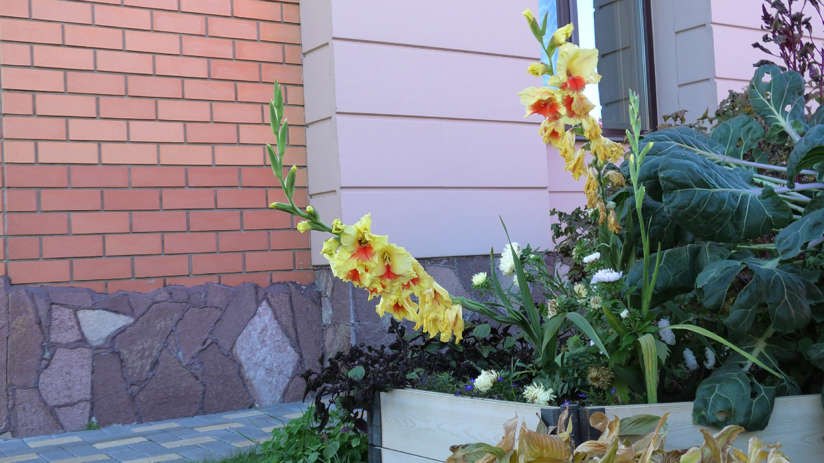 Фото из личного архива