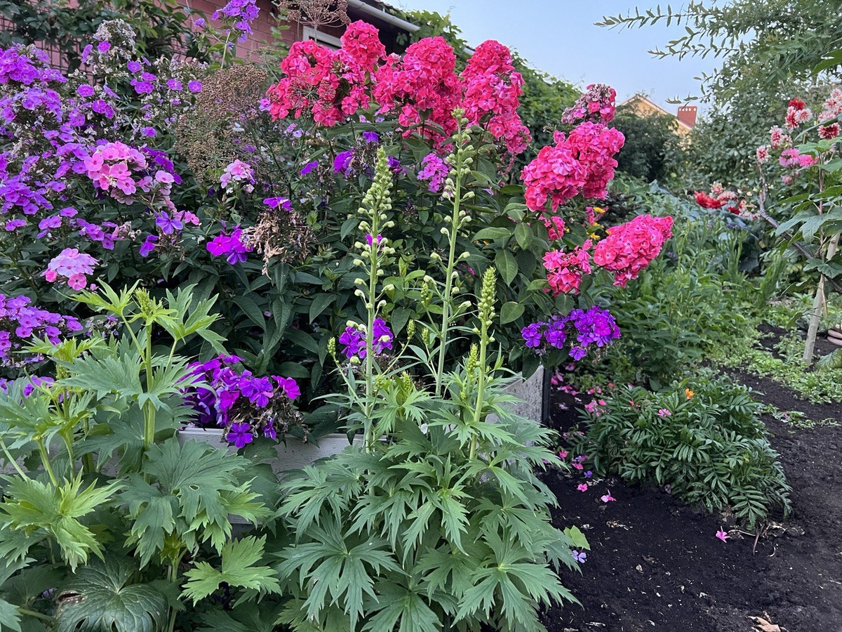 Фото из личного архива