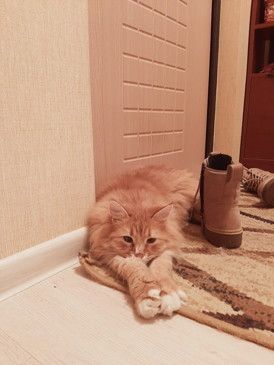 Собралась куда-то? Оставь, пустое.