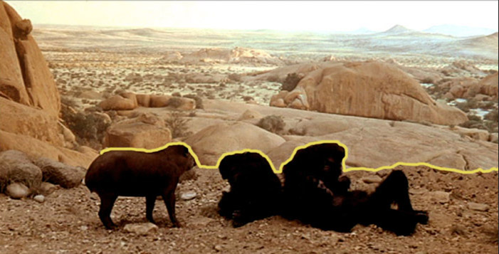  Типичная разделительная линия между передним планом и фоном «Рассвет человечества»