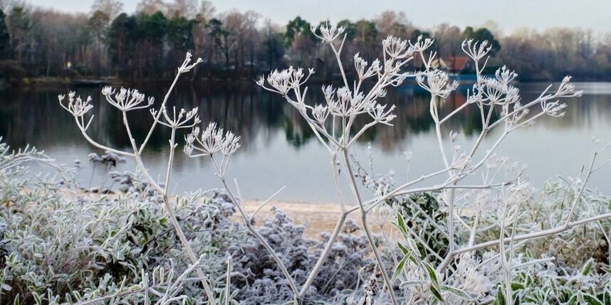    Алена Бобрович