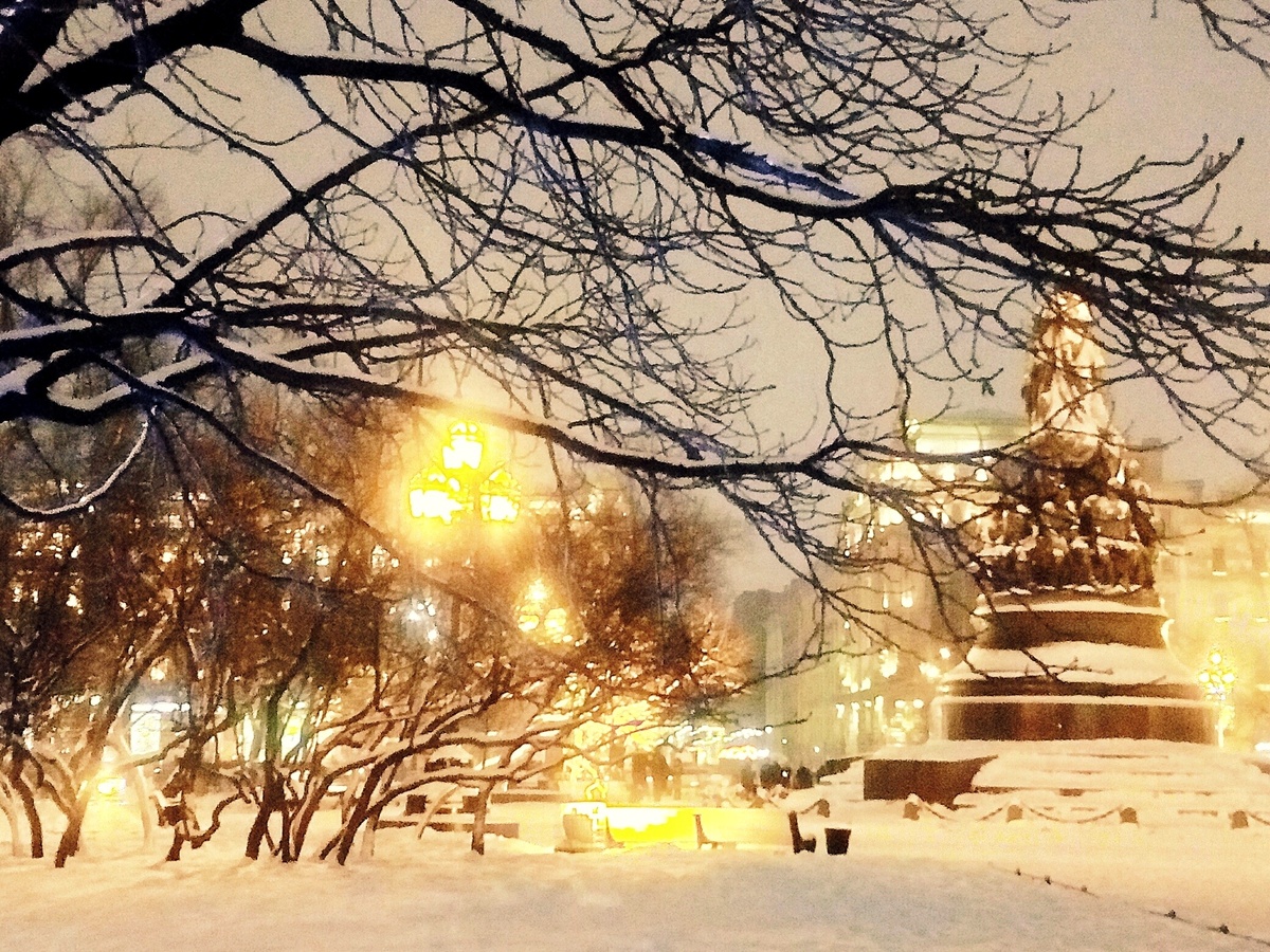 Фото автора