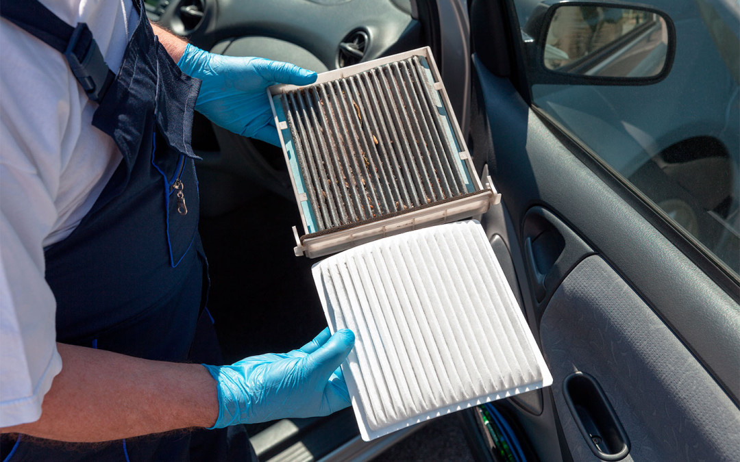 Фото: Shutterstock