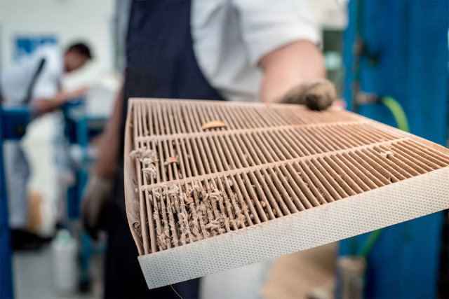 Сегодня салонные фильтры защищают от многих вредных примесей в воздухе. (Фото: Shutterstock)