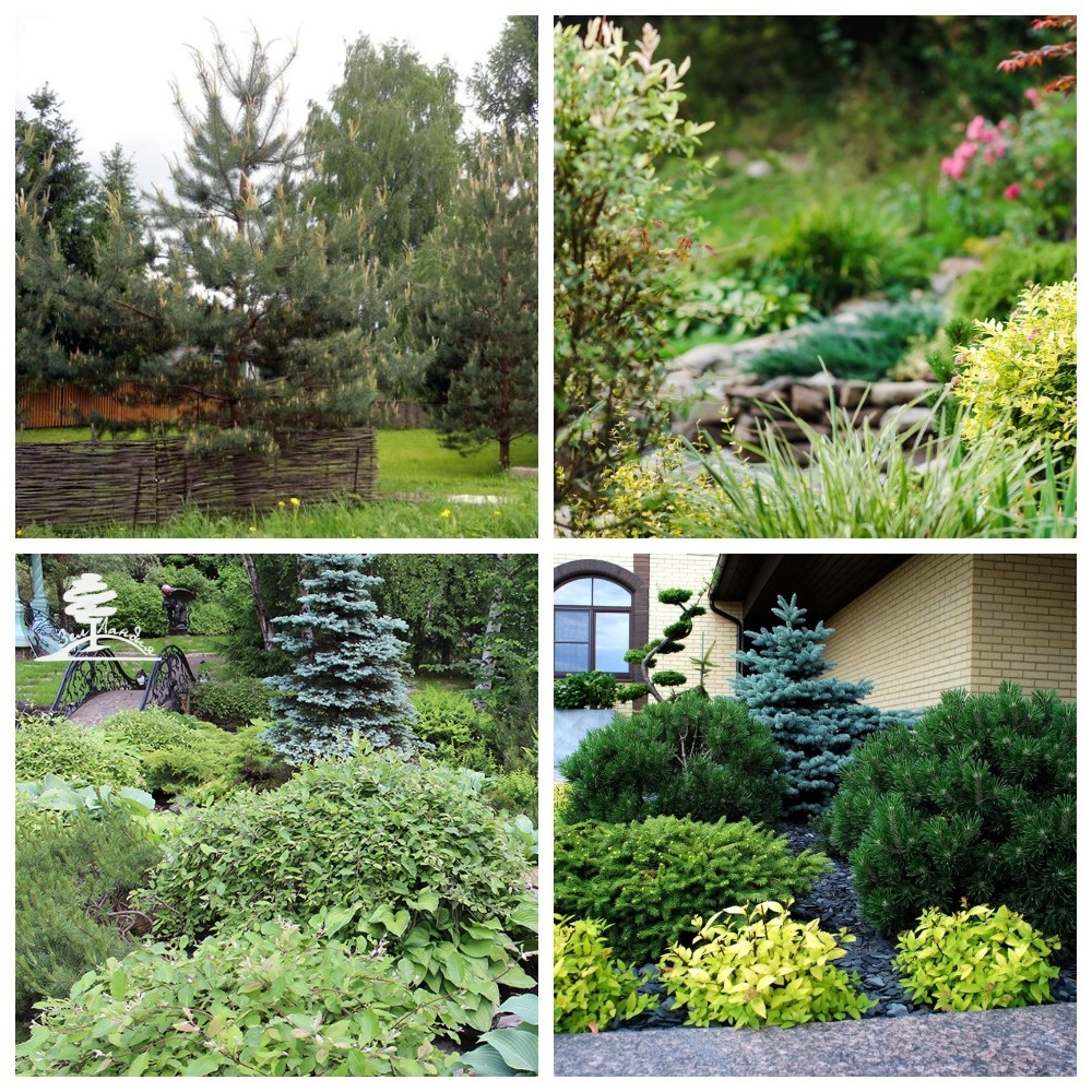 Коллаж автора