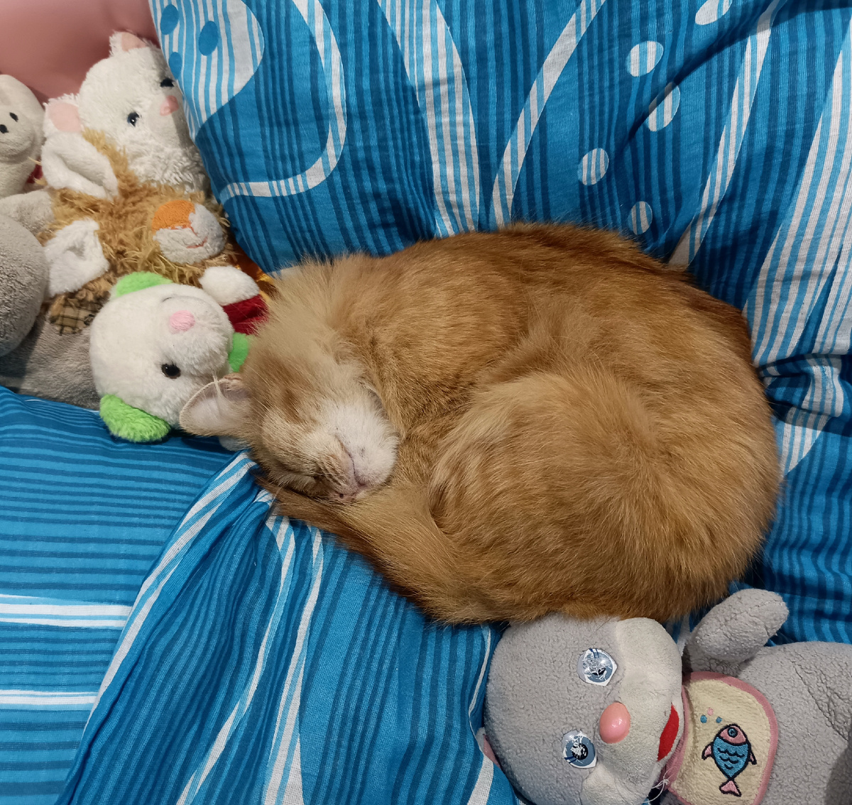 Сладкие сны наверно снятся.