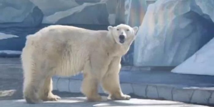 Источник фото: Телеграм-канал зоопарка Ростова