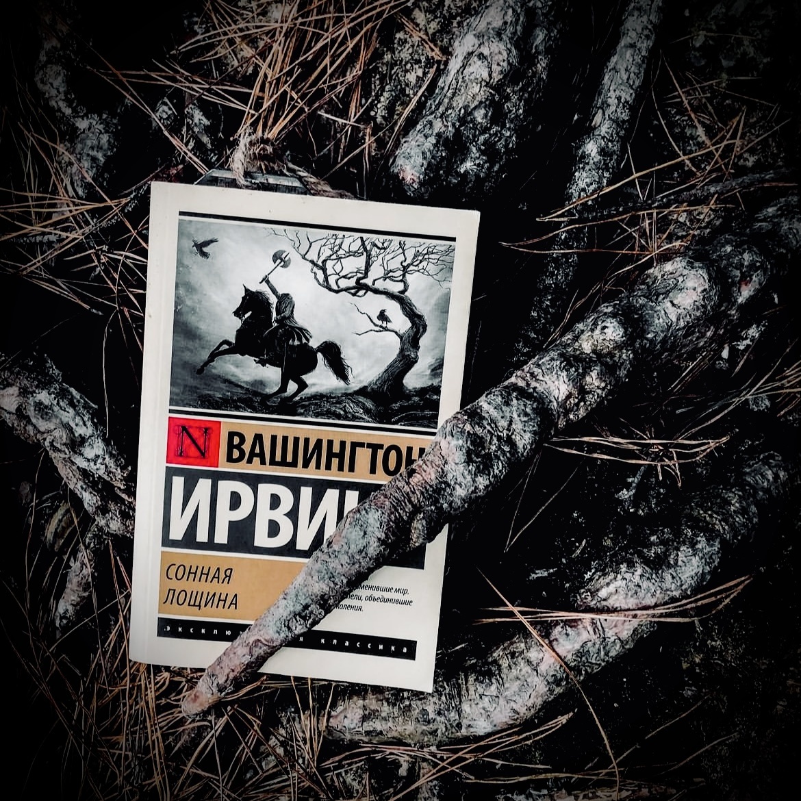 «Он прожил бы, вероятно, спокойную и счастливую жизнь, не повстречай он на своем пути существа, доставляющего смертным неизмеримо больше хлопот и мучений, нежели духи, привидения и вся порода волшебников и чародеев, взятых вместе. Этим существом была женщина».