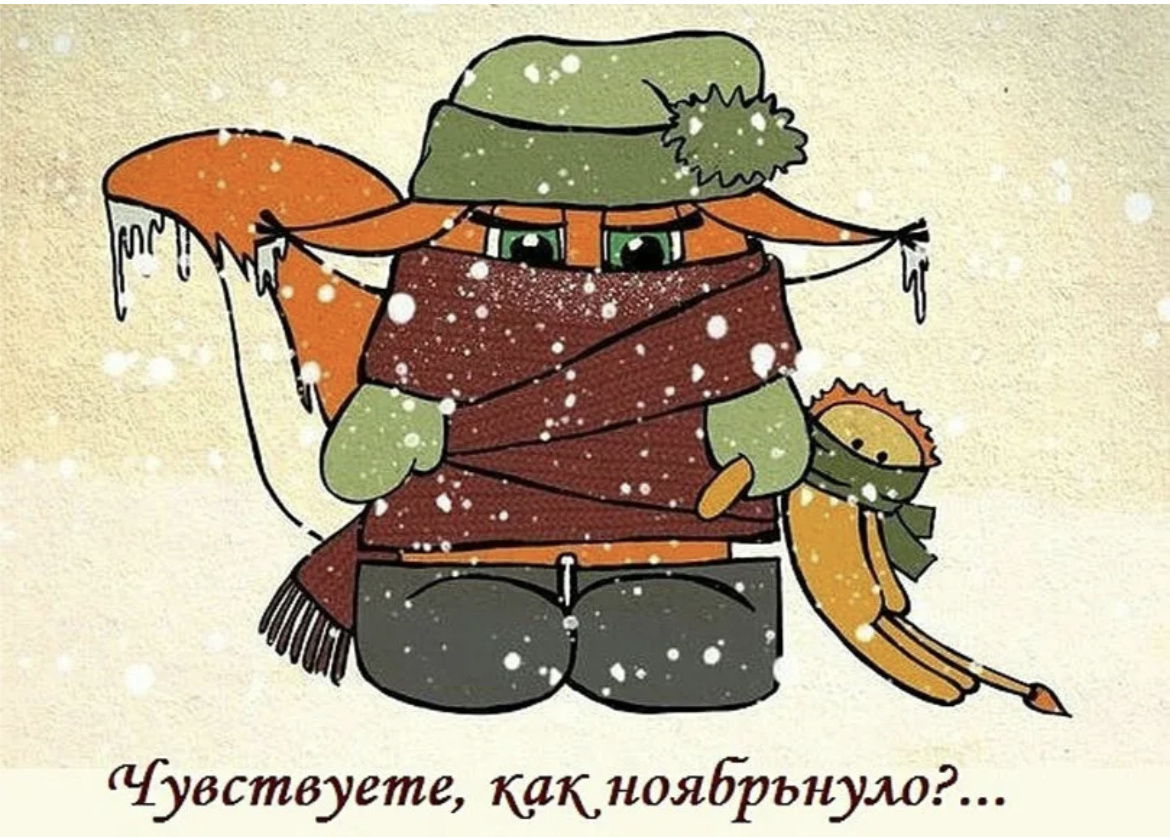 Ноябрь требует салата Оливье, борща и рюмочку. Фото из интернета