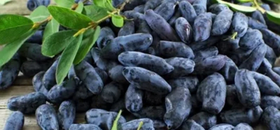 Мммм вкуснятина!!!