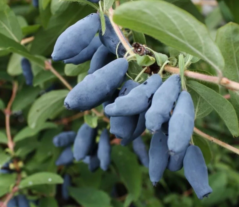 Все фотографии взяты из просторов интернета!