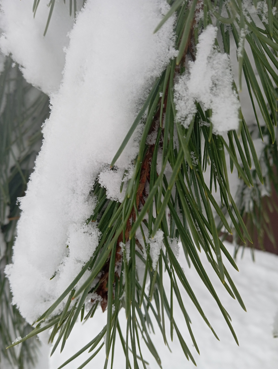 А вот у природы все всегда по новому