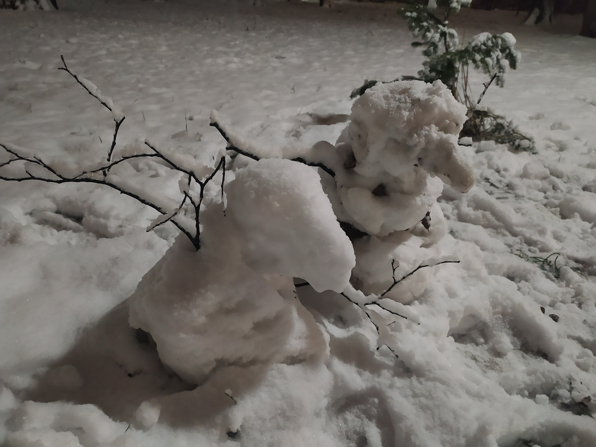 Кострома, сквер, снежные неопознанные скульптуры. Птицы? Драконы? 