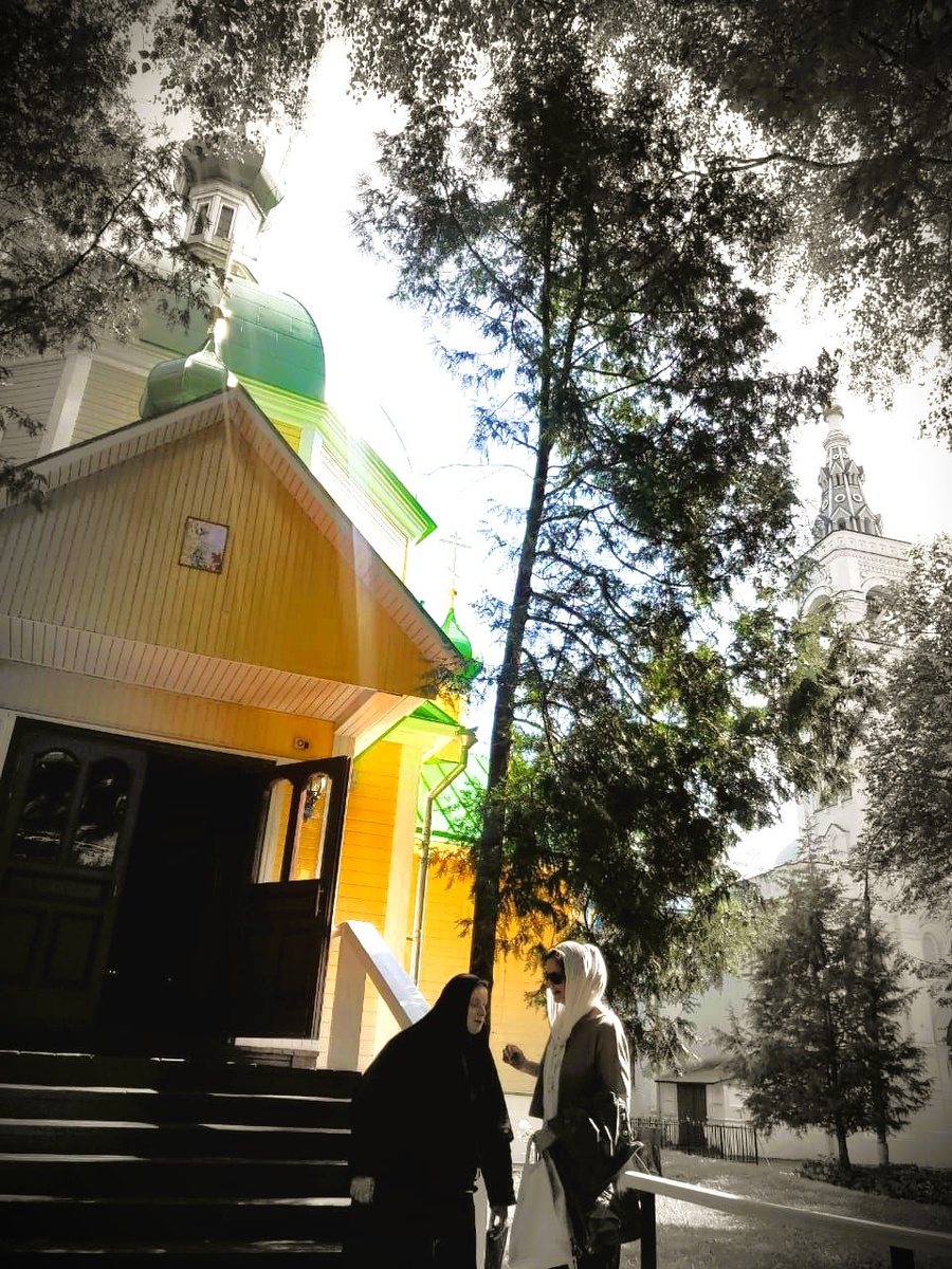 Спасо-Влахернский женский монастырь в Деденево. Источник: https://t.me/StEfremNM